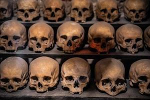 muchos cráneos son humanos colocados en filas en el estante foto