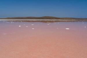 beautiful landscape of a pink salt lake photo