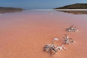 beautiful landscape of a pink salt lake photo