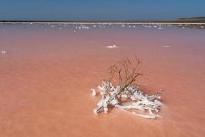 hermoso paisaje de un lago salado rosa foto