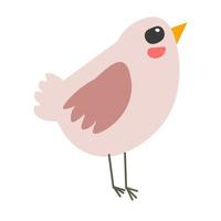 Bird small avian animal with feathers plumage vector