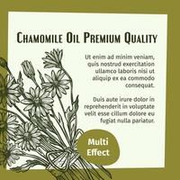 banner multi efecto de calidad premium de aceite de manzanilla vector