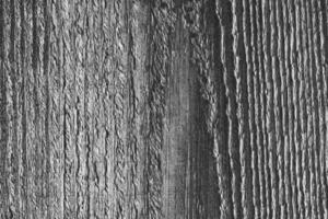 close up of wood texture with natural fibers, board material for construction photo