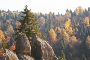 Ukrainian Carpathian Mountains in the autumn, stone rock photo