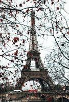 Paris, Eiffel Tower through tree branches in cloudy weather. photo