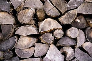 beautifully stacked firewood, natural wood for burning in the furnace photo