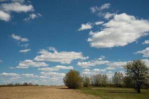 beautiful landscape of blue sky with clouds and field in Ukraine photo