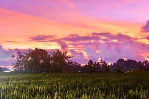 una hermosa puesta de sol sobre el campo de arroz foto