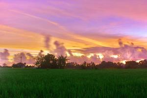 una hermosa puesta de sol sobre el campo de arroz foto