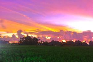 una hermosa puesta de sol sobre el campo de arroz foto