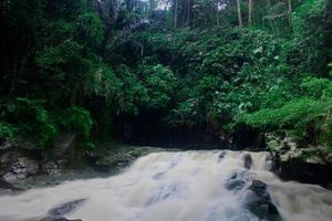 la belleza de un paisaje de cascada muy natural llamado cascada goa rang reng ubicada en gianyar bali. foto