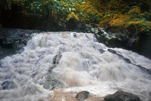 la belleza de un paisaje de cascada muy natural llamado cascada goa rang reng ubicada en gianyar bali. foto