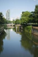 low angle view of singapore city buildings on river side photo