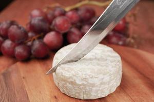 close up of fresh cheese on white background. photo