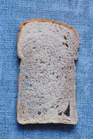 brown bread with mildew. Spoiled products photo