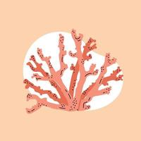 Vector illustration of sea coral in doodle style isolated on white background.