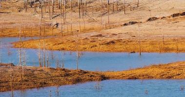 Low levels of water in the reservoir. Dry climate. Shortage of water. Dead trees. Climate change and global warming. There is no planet B. Urgent action to save the world. Environment. video