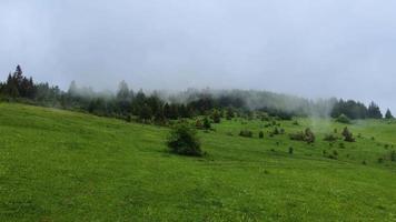 cena de bela paisagem nas montanhas com neblina passando durante um dia nublado. liberdade e sensação relaxante. acima das nuvens. explorar a natureza. conectando-se com a terra. video