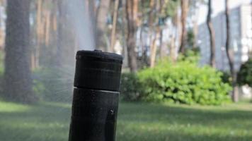 de sprinkler huvud är vattning de gräsmatta med grön gräs. trädgårdsarbete begrepp. de smart trädgård är aktiverad med en fullt automatisk stänk bevattning systemet rörelse i en grön parkera. video