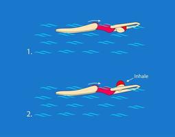 Swim in a butterfly while breathing every other cycle, correctly coordinating the movements of the arms and legs. Swim with high intensity as long as you manage to move your hands above the water. vector