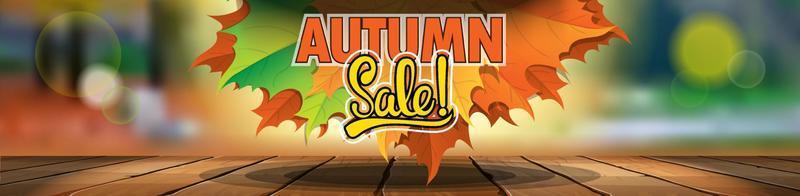 Beautiful wide banner on an autumn theme with leaves in the center. It can be used as a website header. vector