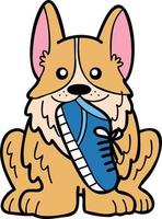 Hand Drawn Corgi Dog holding shoes illustration in doodle style vector