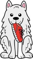 Hand Drawn Samoyed Dog holding shoes illustration in doodle style vector