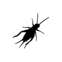 icono de insecto grillo. símbolo de fondo de cartel de ciencia de insectos de estilo simple. elemento de diseño del logotipo de la marca de insectos grillo. impresión de camiseta de insecto grillo. vector para pegatina.