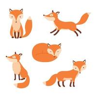 Cute cartoon fox. vector