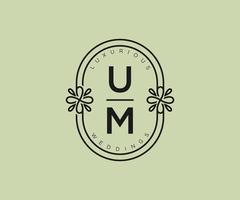 UM Initials letter Wedding monogram logos template, hand drawn modern minimalistic and floral templates for Invitation cards, Save the Date, elegant identity. vector