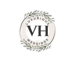 plantilla de logotipos de monograma de boda con letras iniciales vh, plantillas florales y minimalistas modernas dibujadas a mano para tarjetas de invitación, guardar la fecha, identidad elegante. vector