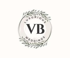 VB Initials letter Wedding monogram logos template, hand drawn modern minimalistic and floral templates for Invitation cards, Save the Date, elegant identity. vector