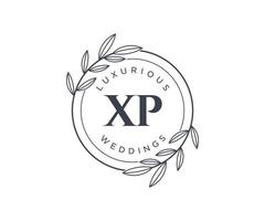 plantilla de logotipos de monograma de boda con letras iniciales xp, plantillas florales y minimalistas modernas dibujadas a mano para tarjetas de invitación, guardar la fecha, identidad elegante. vector