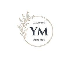 YM Initials letter Wedding monogram logos template, hand drawn modern minimalistic and floral templates for Invitation cards, Save the Date, elegant identity. vector