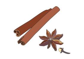 Vector illustration, two cinnamon roll stick and star anise, isolated on a white background.