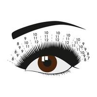 tabla optométrica asiática. Extensión de pestañas. instrucción. procedimiento. Tipo y forma de pestañas. ojo Cafe. tutorial. vector