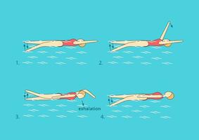 brazada de espalda con un brazo extendido hacia adelante y la parte superior del brazo cerca de la oreja. levante la otra mano, gire el pecho hacia el lado de la mano extendida, exhale después de sumergir la cabeza bajo el agua. vector