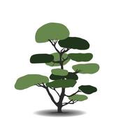 Japanese bonsai tree. Tree icon. Bonsai silhouette vector illustration on isolated white background. Ecology, nature, bio concept. Design template. Green and black.