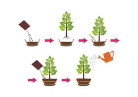 instrucción de poner y cultivar plantas con macetas de agua y semillas. instrucciones paso a paso para plantar semillas de plantas boceto vectorial del proceso de plantación. etapas de crecimiento de los árboles. vector