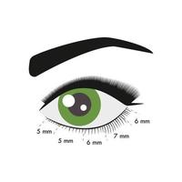 procedimiento. Tipo y forma de pestañas. ojo verde. vector