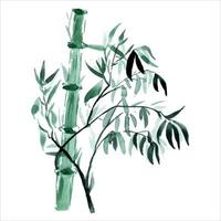 The bamboo branches are painted in watercolor. Asian plants. Decorative watercolor bamboo background. vector