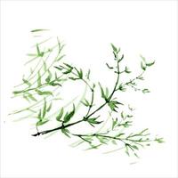 The bamboo branches are painted in watercolor. Asian plants. Decorative watercolor bamboo background. vector