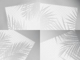 Transparent palm leaves shadow background overlay vector