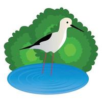 Cute wading bird vector illustration, Tricolored, Black, Chinese pond heron. Chinese, Great White, Cattle egret, Colorful bird cartoon