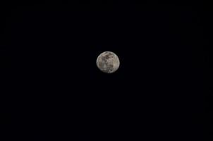 Moon view close-up photo