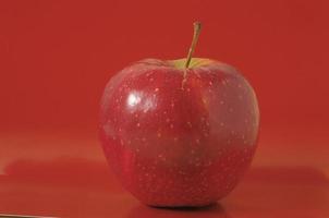 Isolated red apple photo