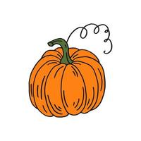 Pumpkin. Flat color icon. Thanksgiving design. Autumn pumpkin. vector