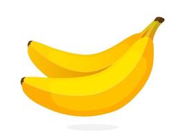 Two bananas flat illustration vector