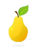 Yellow pear with stem and leaf vector