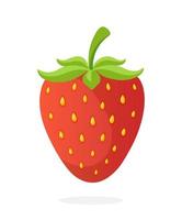 Sweet strawberry with a stem vector